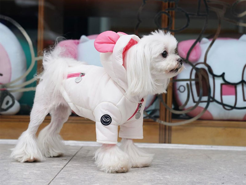 теплая куртка для собаки с капюшоном
